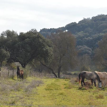 Herdade Ribeira De Borba Vila Vicosa  Luaran gambar